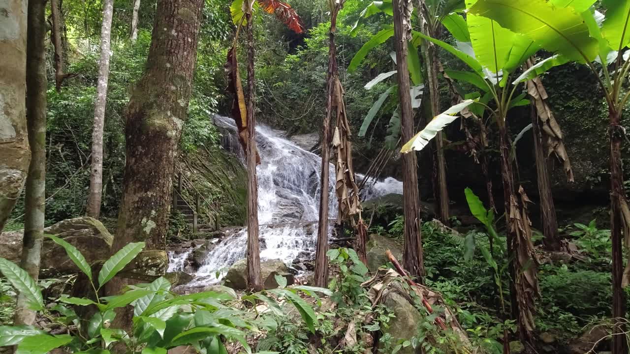 hermosas cascadas en lo profundo de la exuberante selva verde