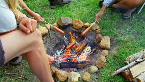 amigos asando salchichas en el fuego de campamento 4k