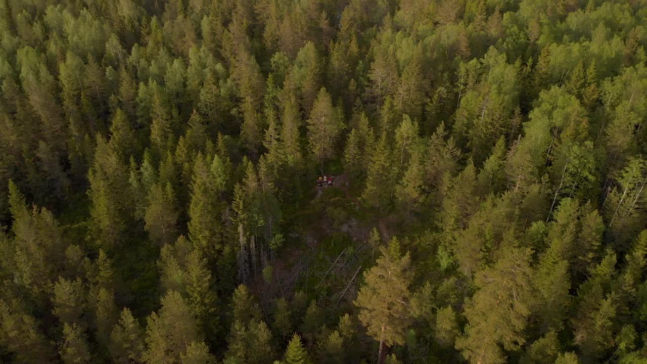 dron volando hacia tres personas sentadas en un banco en un bosque sueco