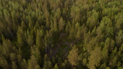 drone flying towards three people sitting on a bench in a swedish forrest