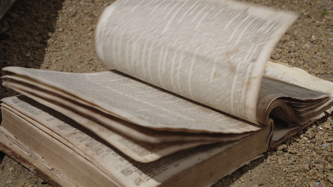 Libro Antico con Pagine della Bibbia mosse dal Vento su una Strada Sterrata