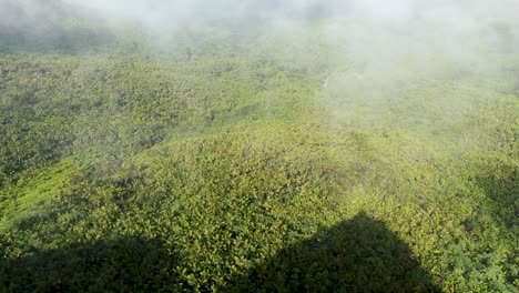 Aerial flyover from a stone tower through clouds with an expansive view of a tropical rainforest