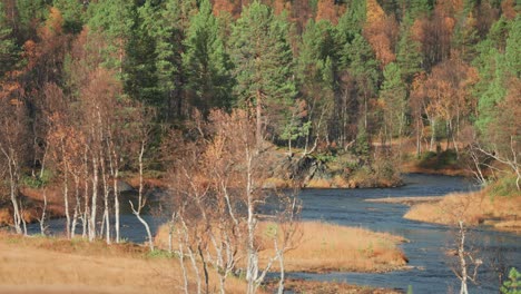 The-shallow-river-flows-through-the-tranquil-autumn-landscape-of-the-Norwegian-tundra