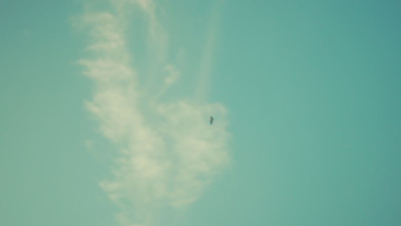 Et minimalistisk billede af en enlig fugl, der svæver hen over en stor, pastelfarvet himmel. Indfanger en følelse af stille frihed og den æteriske skønhed i en tropisk skumring