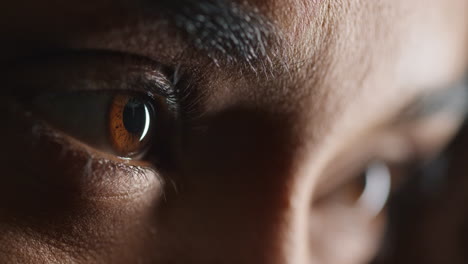 close up macro beauty brown eyes light revealing iris contracting natural beauty optometry concept