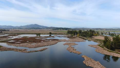 a drone's journey through nature - wetlands and marshlands