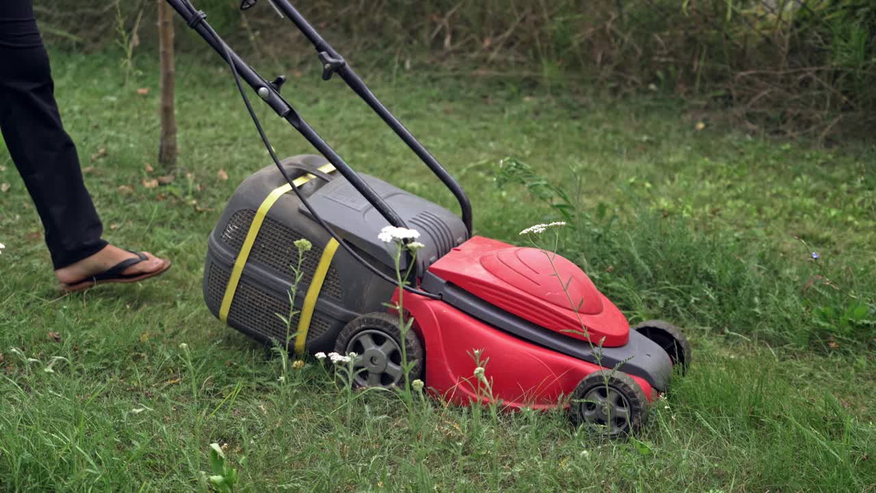 Woman cuts the lawn. Mowing lawns.