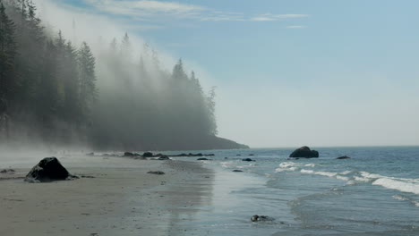 mystic beach on vancouver island with ocean fog gently flowing over lush coastal trees in slow motion