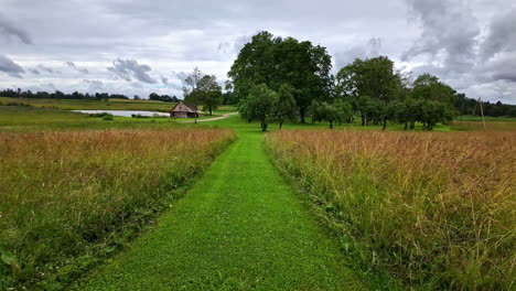 tranquil scene with a path, tall grasses, and a barn, under an overcast sky