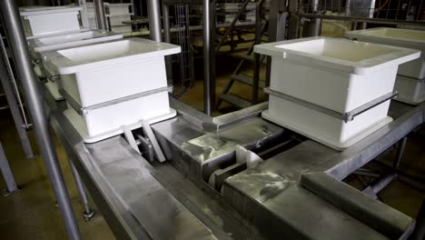 cheese rounds on conveyor belt. cheese manufacturing line. cheese production factory line. food production process