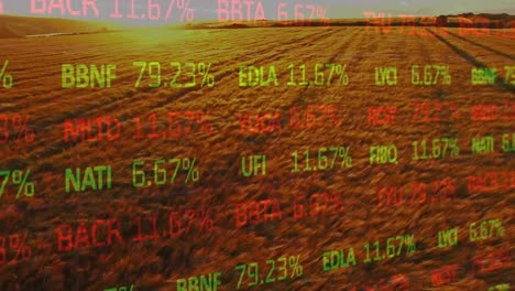 Animación-Del-Procesamiento-De-Datos-Financieros-Sobre-El-Campo-Agrícola