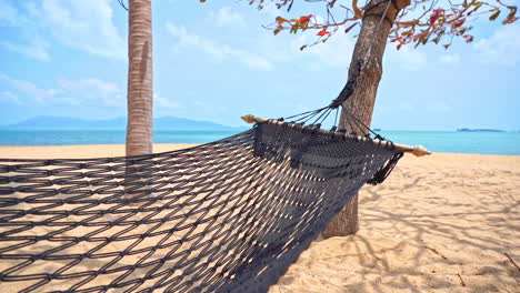 empty rope hammock hanging between trees on sandy tropical island beach on a sunny cloudy day in hawaii