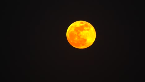 superficie de la luna roja atravesada por una gran cantidad de pájaros y un avión