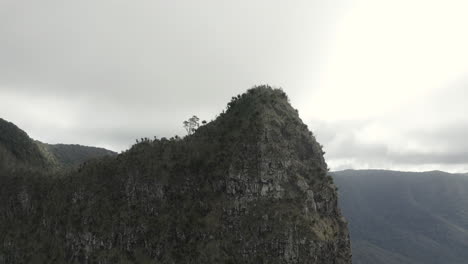 4k drone shot slowly orbiting a mountain cliff at border ranges national park, new south wales australia