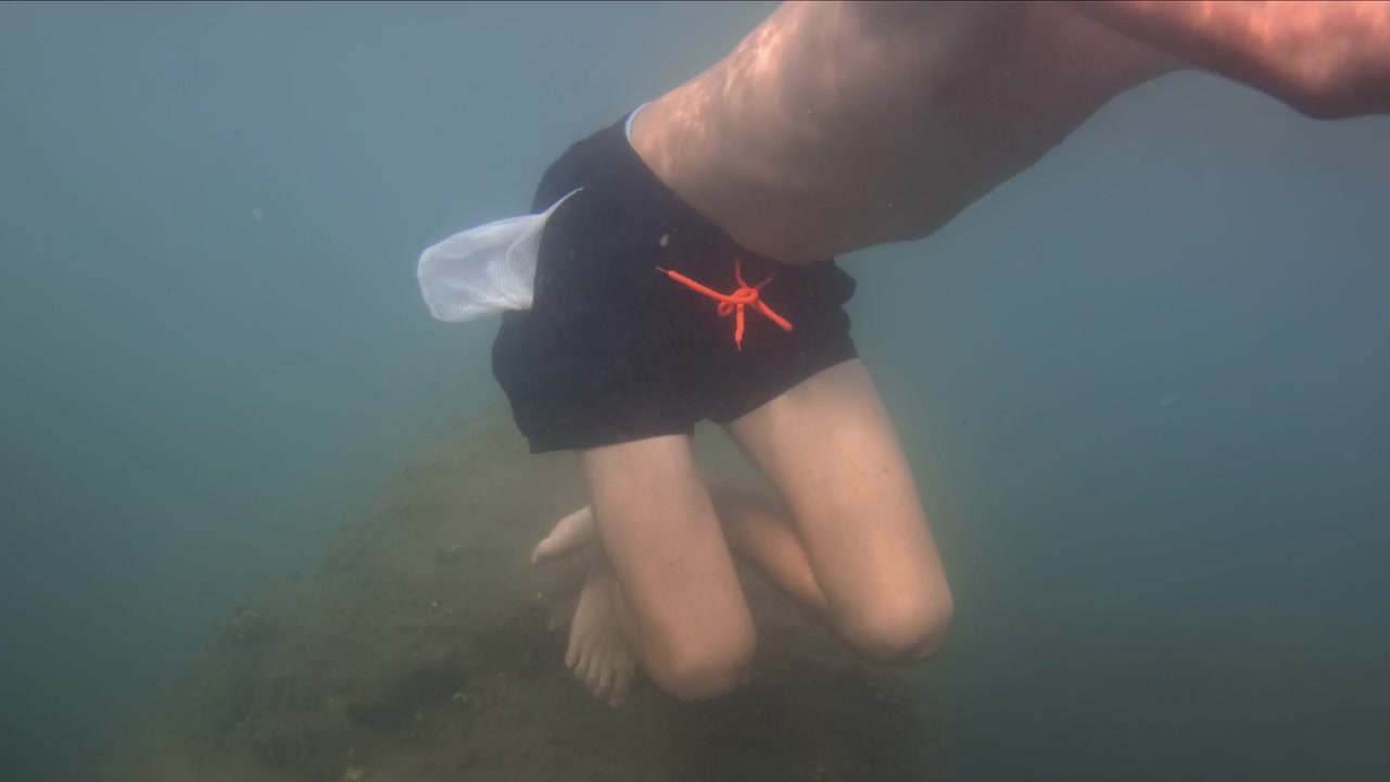 Man in swim shorts treading water, exploring murky river or lake. Underwater view with rock formation below