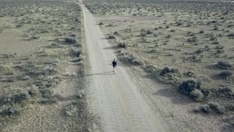 woman walking alone on the street, long shadow gorgeous aerial view flight slowly tilt up to a panorama drone footage mojave desert valley usa 2018