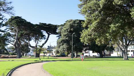 person walking along a park pathway