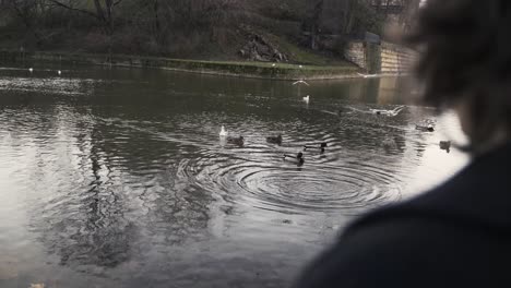 Junge-Frau-In-Einem-Schwarzen-Mantel,-Die-Im-Herbst-Am-Nachmittag-In-Einem-Park-Sitzt-Und-Enten-In-Einem-Meer-Füttert-1