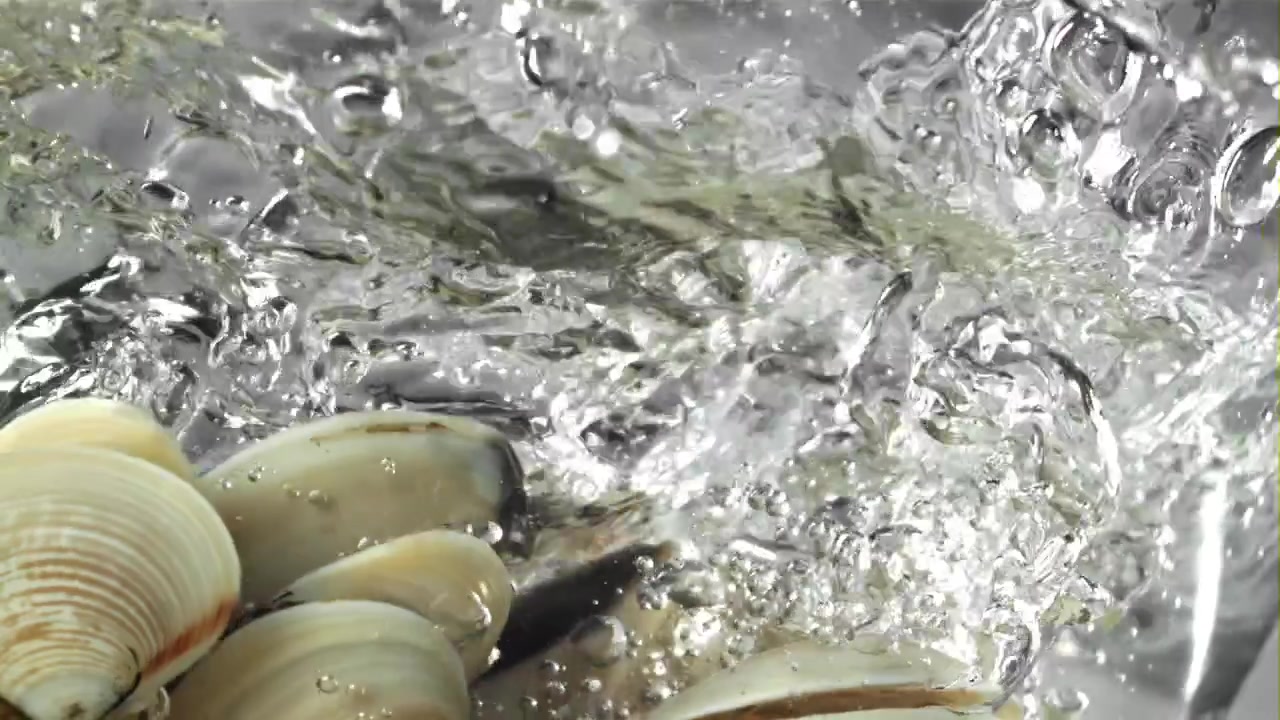 Slow Motion Clams Dropping into Water with Splashes