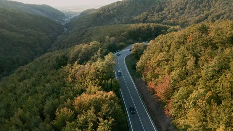 aerial tilt up view drone shot of cars driving on a winding mountain road in the middle of an autumn coloured forest