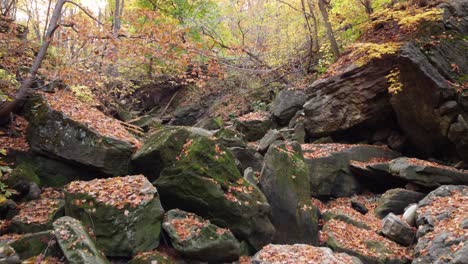 Trockener-Flussbach-Mit-Großen-Felsbrocken,-Umgeben-Von-Herbstfarben