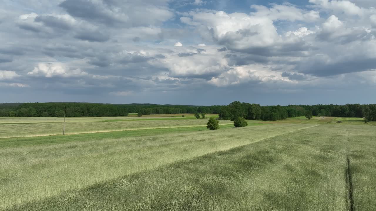 lapso de tiempo de hiperlapso aéreo sobre una plantación orgánica de la granja con viento sobre los cultivos durante un día nublado de verano