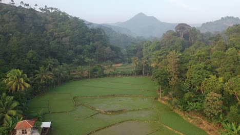aerial view of a mountain valley with rice paddies and villages