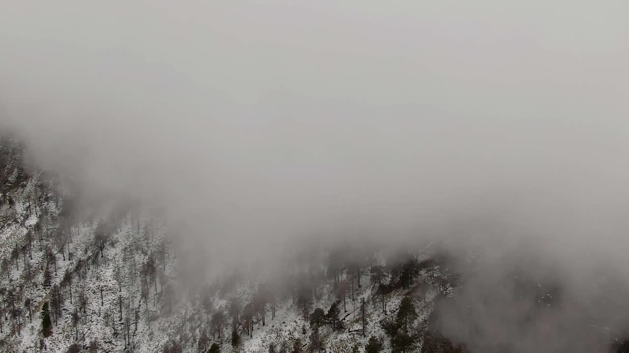 dosel de nubes nubladas montañas nevadas del bosque en el parque nacional nevado de colima en méxico