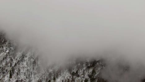 Foggy-Clouds-Canopy-Snow-Forest-Mountains-In-Nevado-de-Colima-National-Park-In-Mexico