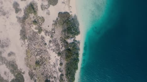 Top-view-a-paradise-island-on-Earth-surrounded-clear-crystal-caribbean-sea,-Los-Roques