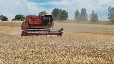 Combine harvester working in the wheat field on the natural summer background. Process of harvesting ripe grains in rural place. Agriculture
