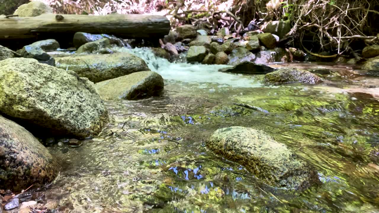 tiro suave en cámara lenta flotando sobre un arroyo que fluye, moviéndose hacia una cascada en un arroyo de montaña, con grandes rocas de río en primer plano y guijarros bajo el agua clara, verde de los árboles en lo alto