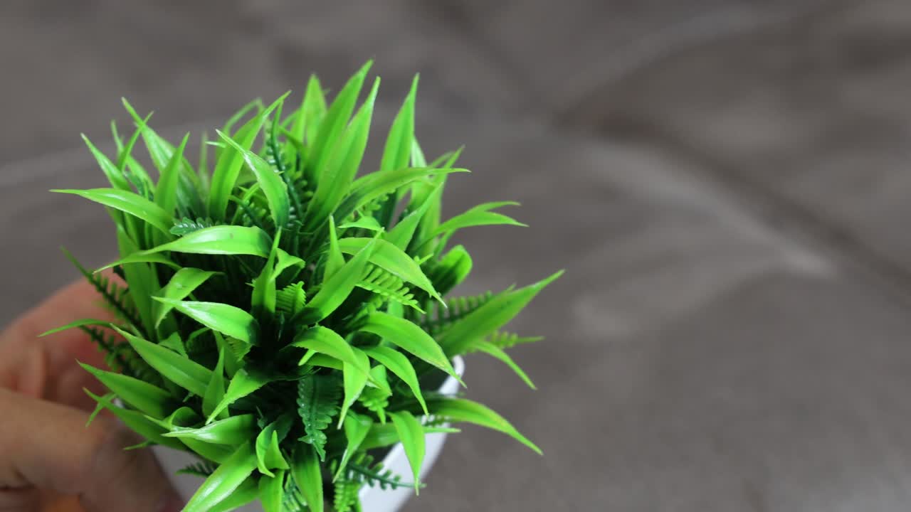 Small fake plastic house plant, isolated close up
