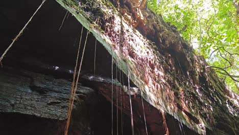 the walls of the cânion sussuapara in jalapao