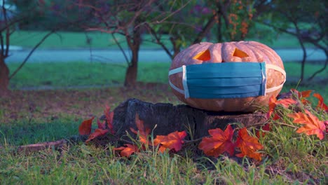 Halloween-Kürbis-Mit-Gesichtsmaske-Auf-Einem-Baumstumpf-Am-Späten-Nachmittag