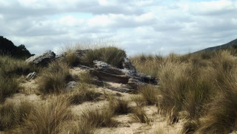 Dune-Of-Cala-Mezquida