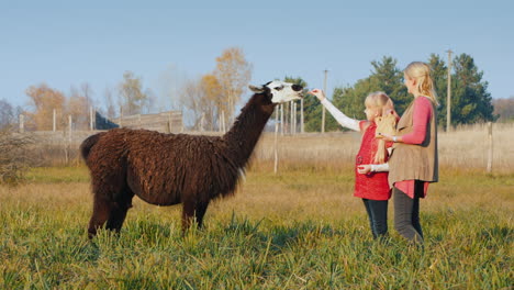 a woman with a child treats alpaca crackers good time together