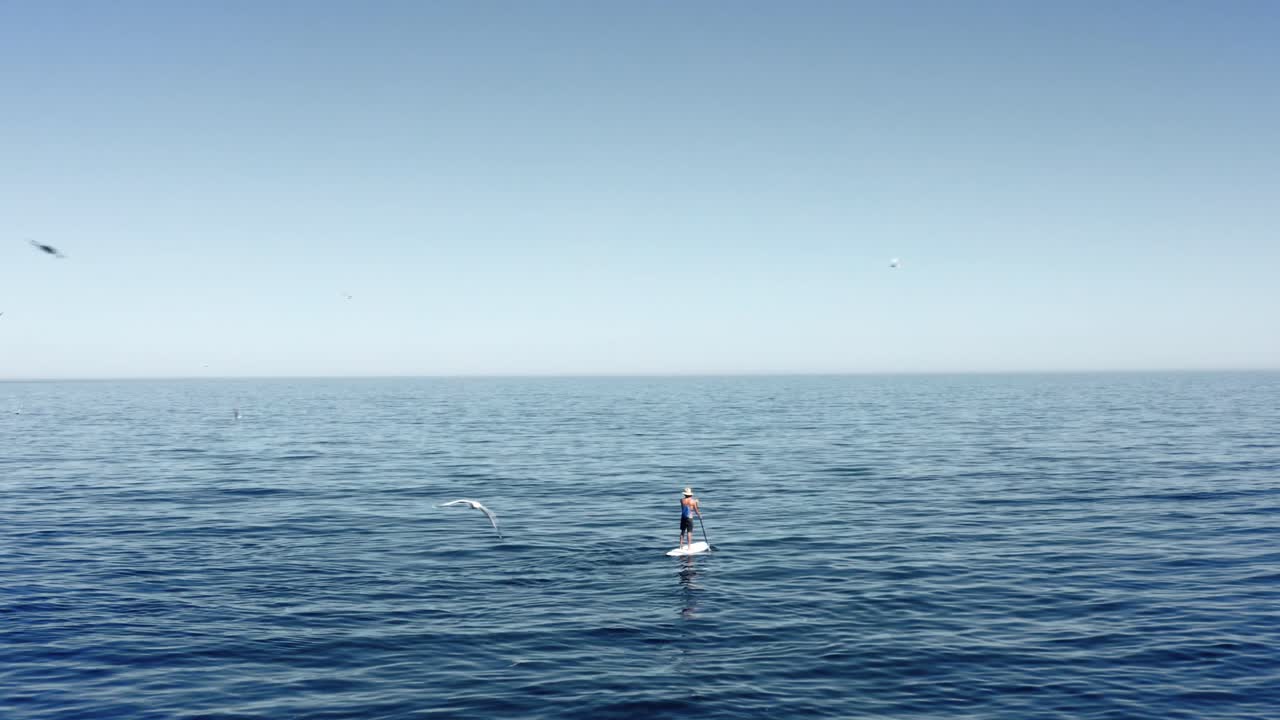 Man paddling on SUP alone in the open ocean. Flock of birds and seals in water. Explore and adventure concept.