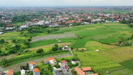 Terrazas-De-Arrozales-En-La-Zona-Rural-De-La-Isla-De-Bali-Con-Casas-Balinesas-A-Distancia,-Antena