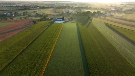 Ackerland-In-Den-USA-Während-Des-Goldenen-Sonnenaufgangs