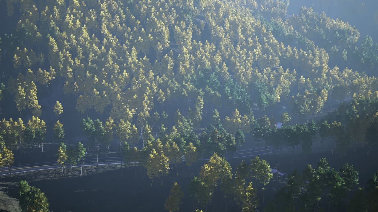 Lush green forest landscape under soft morning light showcasing natures beauty