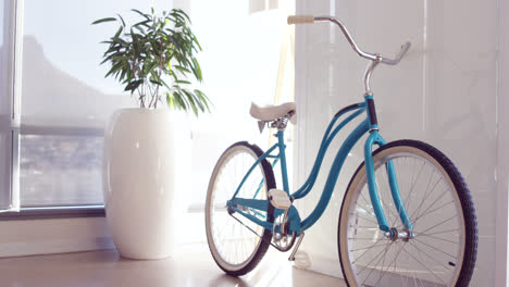 Bicycle-leaning-against-the-wall