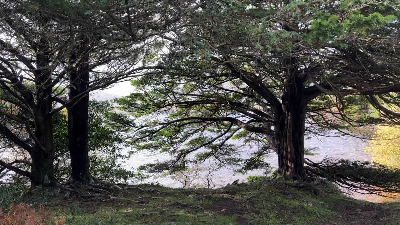 Walking along the coast of Muckross lake in county Kerry, Ireland