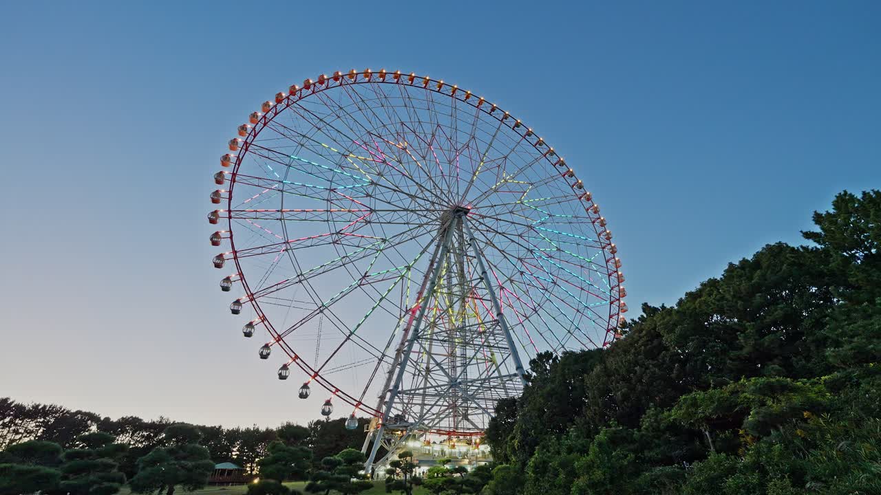 A wide angle view of the Diamond and Flower Ferris Wheel rising above the trees in Kasai Rinkai Park at dusk