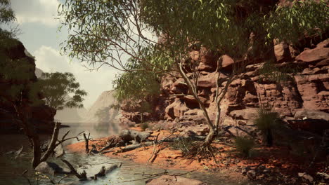 el río colorado con hermosas paredes de piedra arenisca y cañones