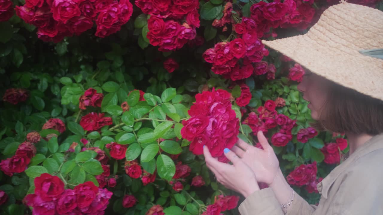 Uma jardineira com chapéu de palha cheira uma rosa desabrochada no jardim