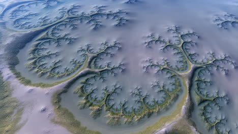 aerial view of fractal-like river delta patterns