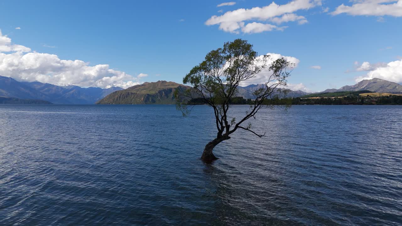 un árbol se eleva sobre la superficie del agua del lago wanaka, las montañas y el cielo azul en la distancia
