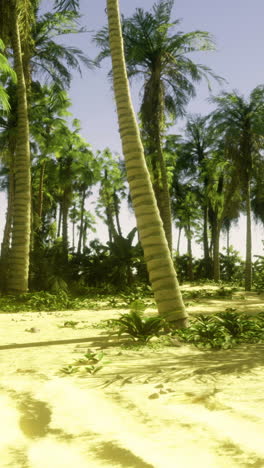 lush tropical landscape with palm trees and sandy beach at sunny midday