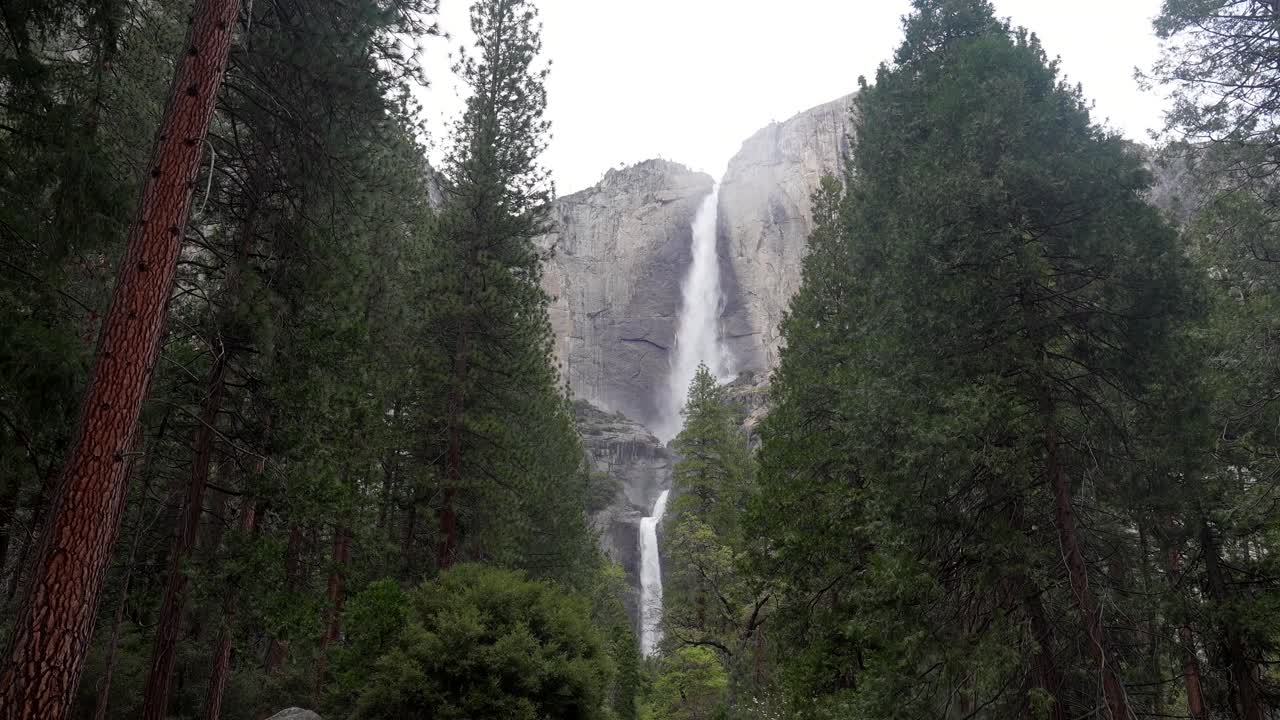 Las majestuosas Cataratas de Yosemite cayendo a través de un bosque de altos pinos